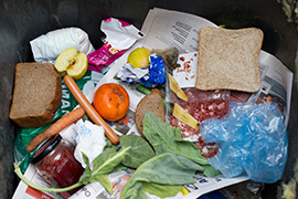 Lebensmittel im Müll @ Patrick Pleul/picture alliance/dpa