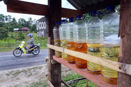 In Flaschen wird auf Sumba Benzin für Motorroller angeboten. Foto: Stark